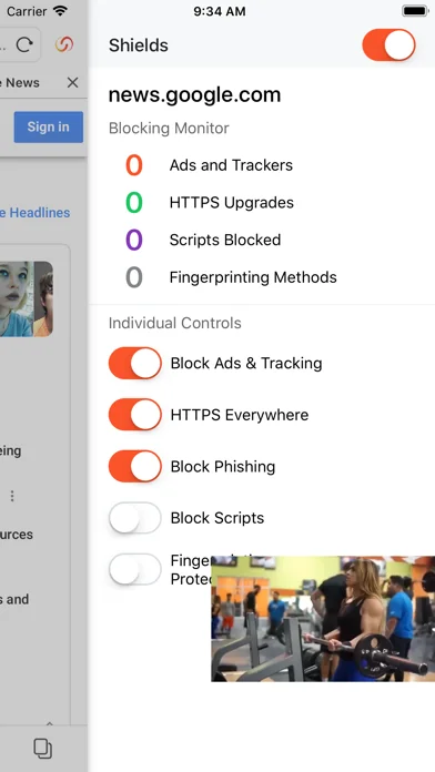 Skyfire Browser for Web Video screenshot 3