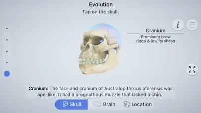 Brainapse