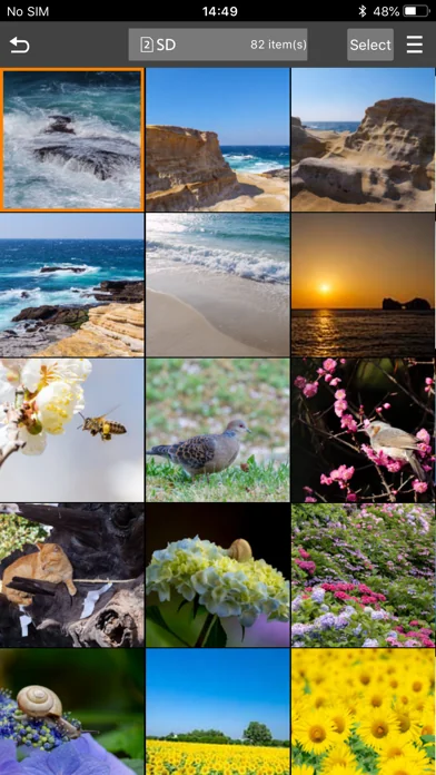 Panasonic LUMIX Sync screenshot 2
