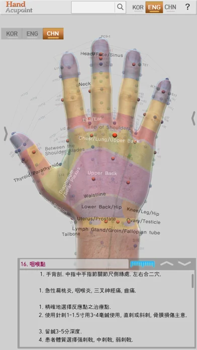 Hand Acupoints