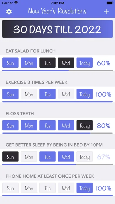New Year's Resolutions Tracker screenshot 1