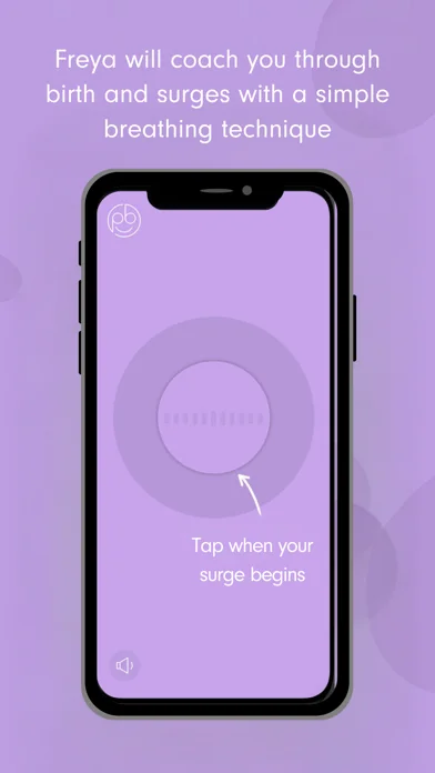 Freya • Surge Timer