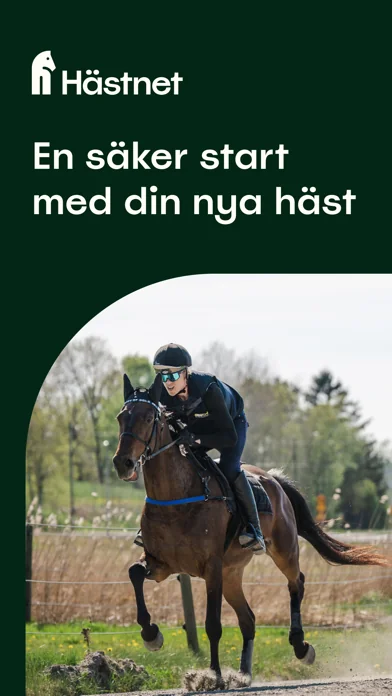Hästnet