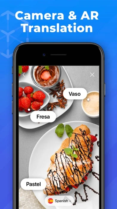 OkTalk: Language Translator screenshot 2