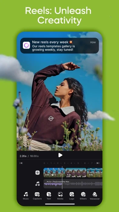 Instories: AI Photo & Video
