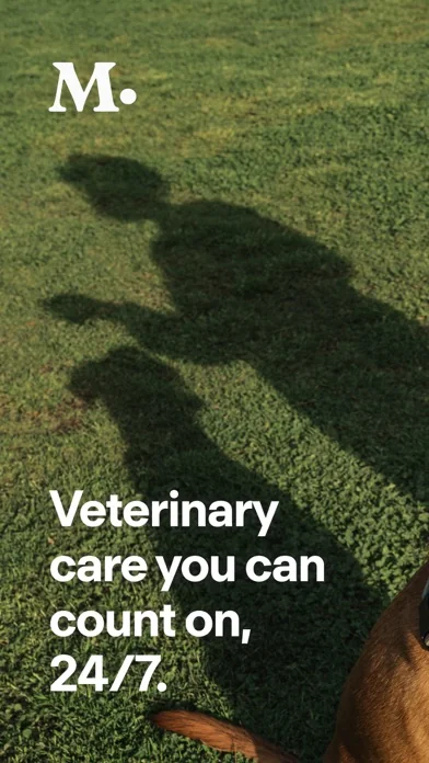 Modern Animal screenshot 1