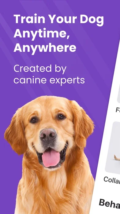 GoDog: Puppy & Dog Training