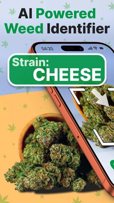 THC Weed Identifier: Kush Scan