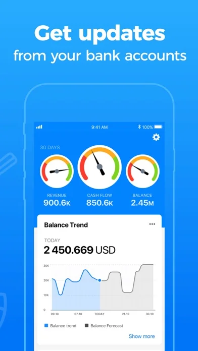 Board: Business Budget Tracker screenshot 2