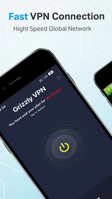 Grizzly VPN: швидкий VPN Proxy
