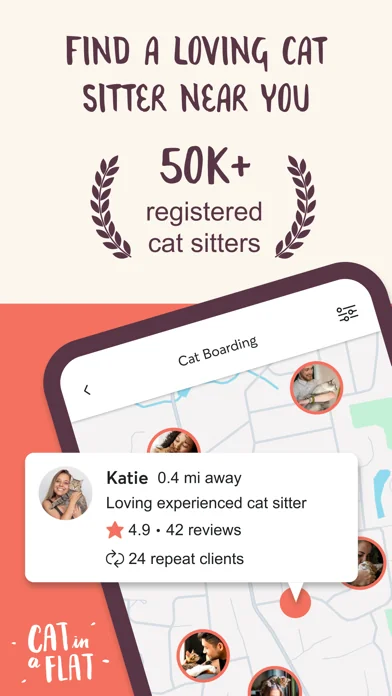 Cat in a Flat: Pet Cat Sitting
