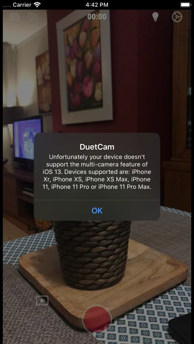 DuetCam