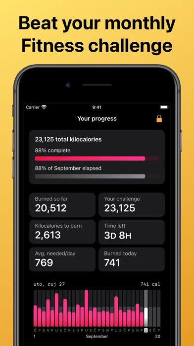 Fitness Challenge Tracker
