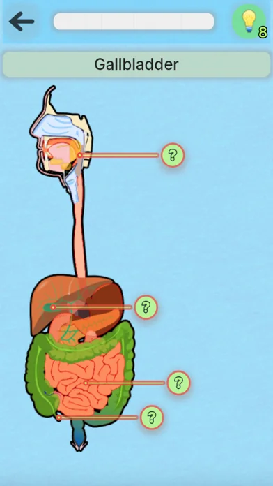 Anatomie Spiel