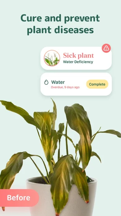 Blossom - AI Plant Identifier