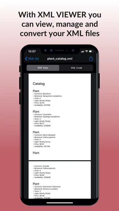 XML Viewer & converter to PDF