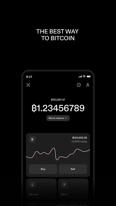 STRIKE: BUY & HOLD BITCOIN screenshot 1