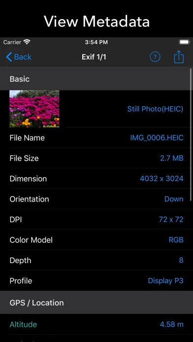 EXIF Tool - Metadata Tool