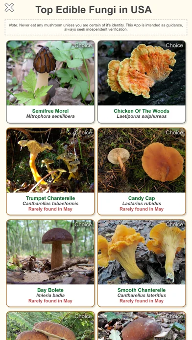 Shroomify - Mushroom ID screenshot 1