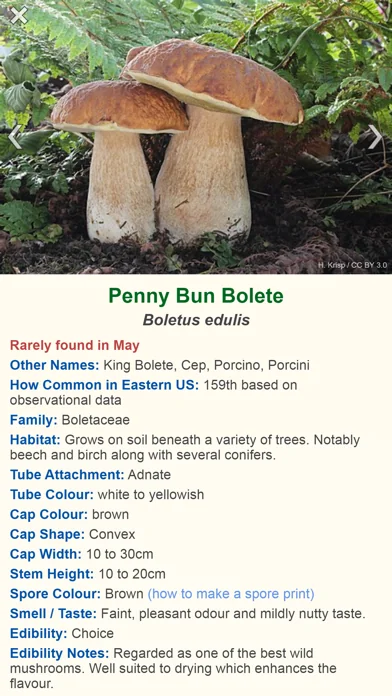 Shroomify - Mushroom ID screenshot 2