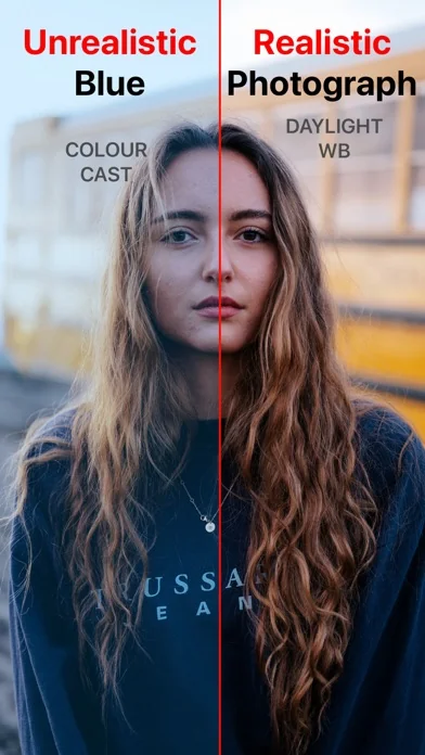 White Balance Meter AI - KEV screenshot 3