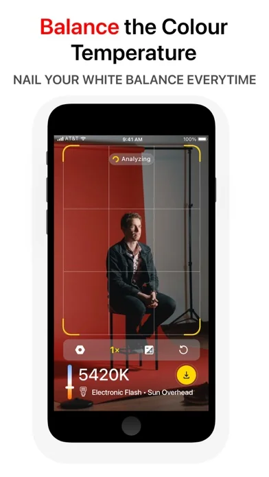 White Balance Meter AI - KEV screenshot 4