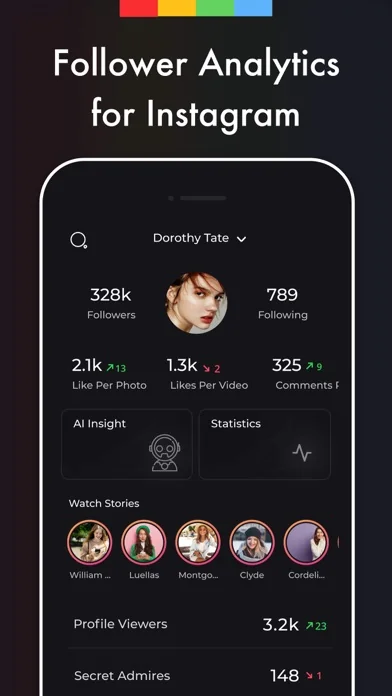 Reports IG Followers Instagram
