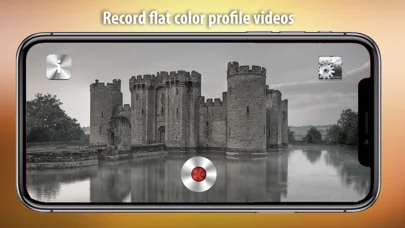 Flat Color Camera