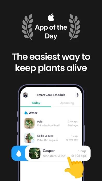Greg: Plant Identifier & Care