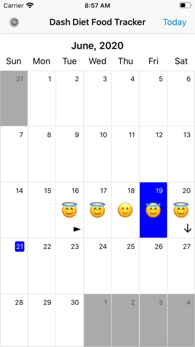 DashDietTracker