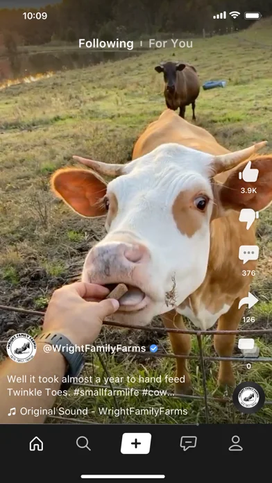 Clapper: Video, Live, Chat screenshot 3