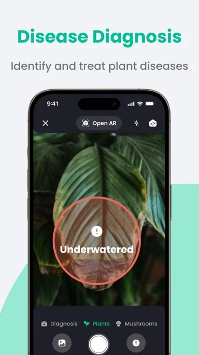 PlantIn・Pflanzen Erkennen App screenshot 2