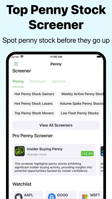 Penny Stocks Screener: AI Scan screenshot 2