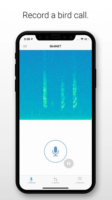 BirdNET screenshot 1