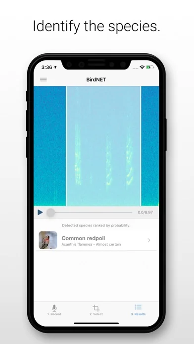 BirdNET screenshot 2