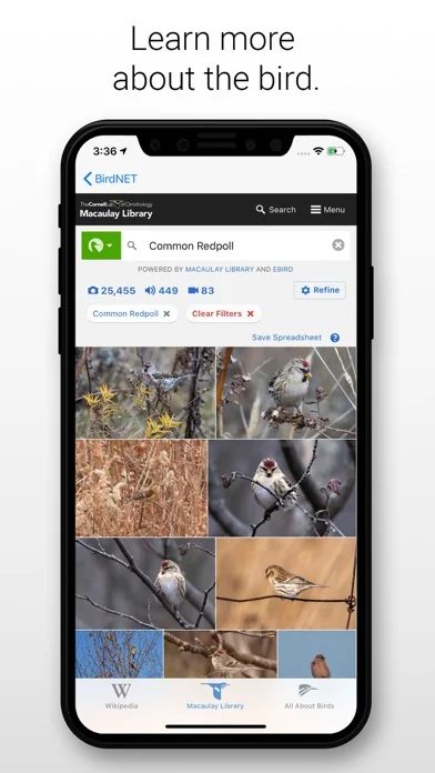 BirdNET screenshot 3