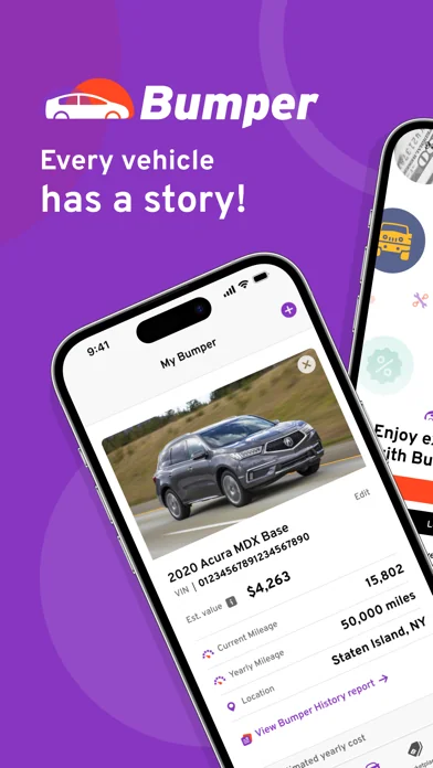 Bumper: Vehicle History Report