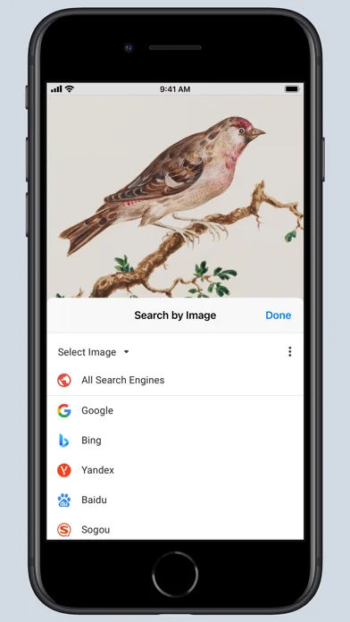 Search by Image for Safari