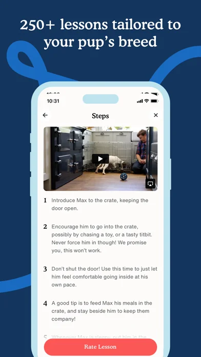 Zigzag - Puppy & Dog Training screenshot 4
