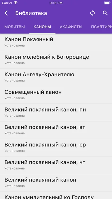 Библиотека ЦС screenshot 3