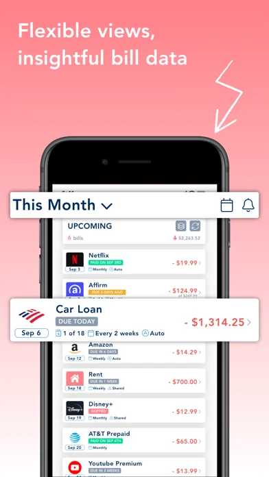 BillOut - Bill reminder screenshot 4