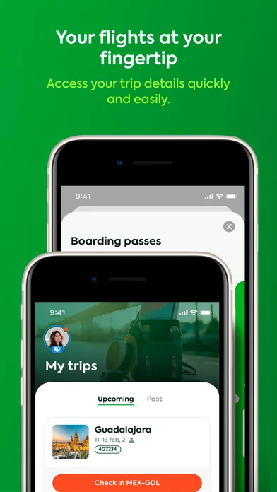 Viva Aerobus: Fly! screenshot 3