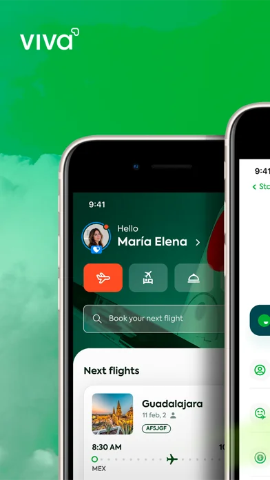 Viva Aerobus: Fly! screenshot 4