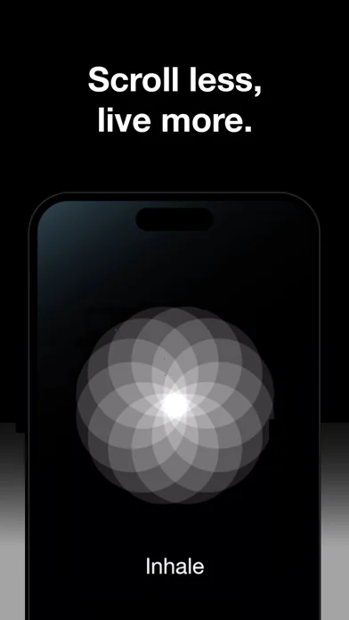 Blank Spaces Launcher screenshot 3