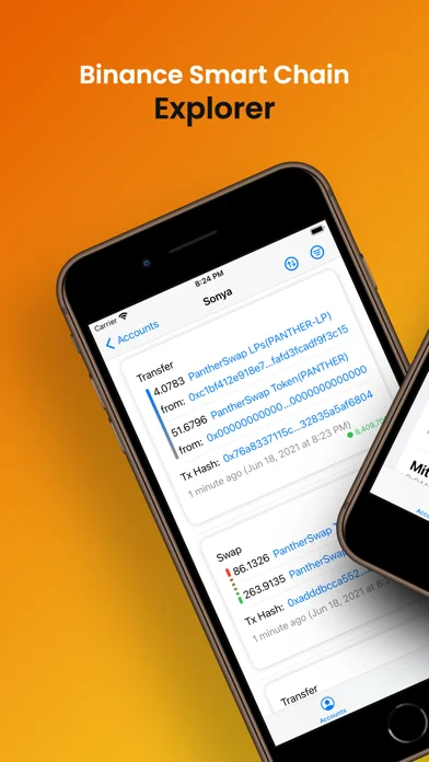 Binance Smart Chain Explorer