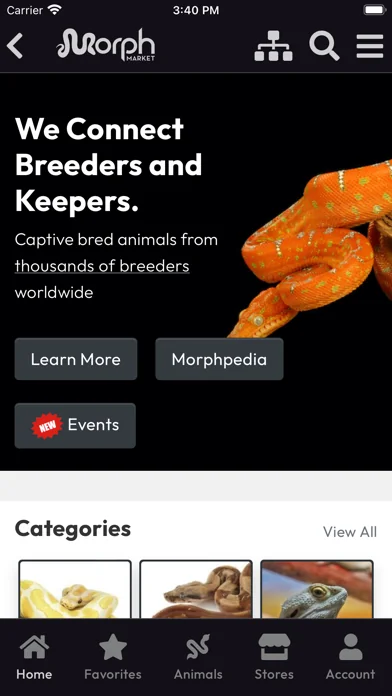 MorphMarket
