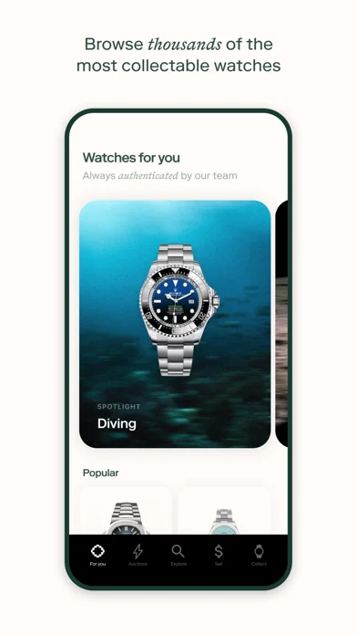 Bezel - Authenticated Watches screenshot 2