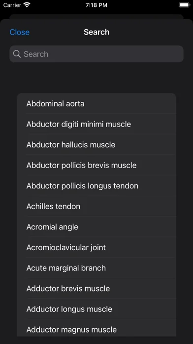 CT Anatomy screenshot 4