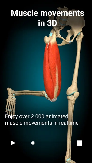 Anatomy Learning - 3D-Anatomie screenshot 1