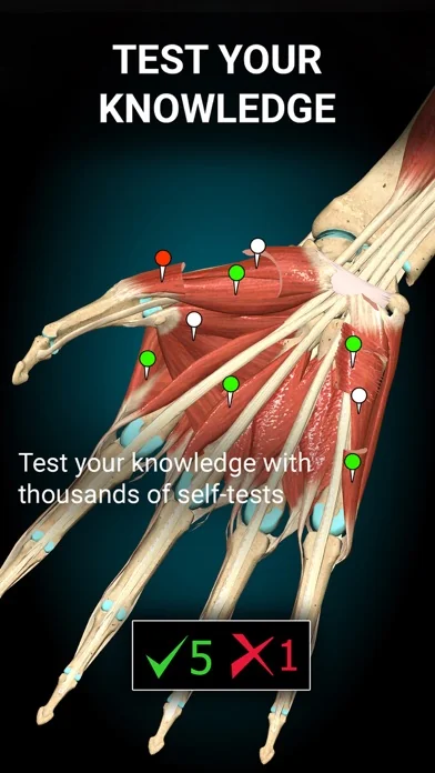 Anatomy Learning - 3D-Anatomie screenshot 2